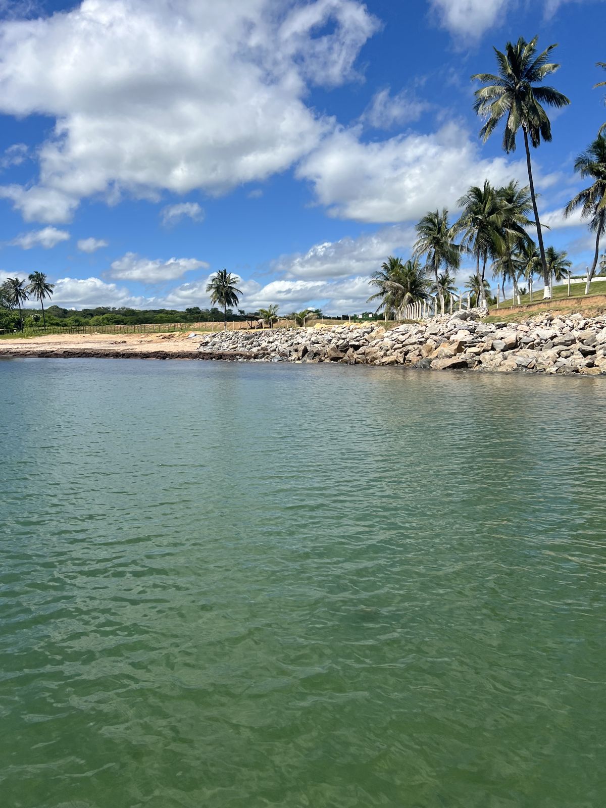 Águas verdes do estuário com coqueiros na Praia do Retirinho